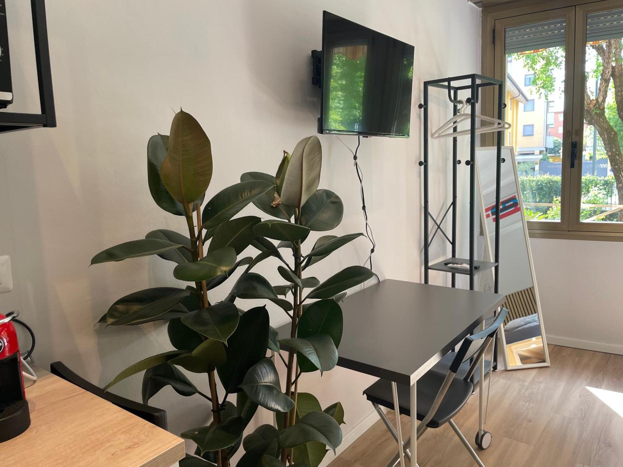 Apartment Little - Lm2 - Lm3 - Lm4 *